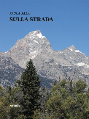 cover image of Sulla strada